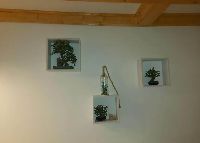 Vitaminsea - Apartment